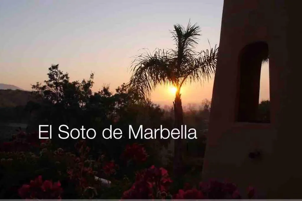アパート Droom Appartement Free Golf, Padel,Gym&Welness La Mairena